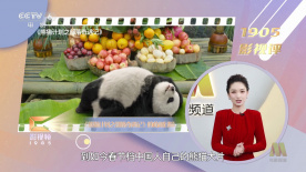 《魅魔》